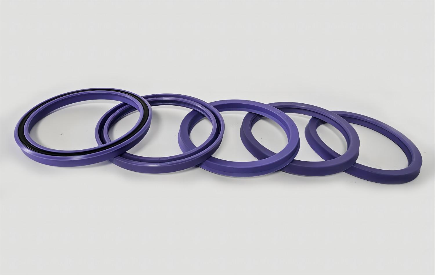 Piston & Rod Seals